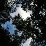 changer de vie bruz rennes