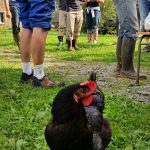 worldschooling nature 2